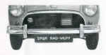 rad muff pic.jpg (41830 bytes)