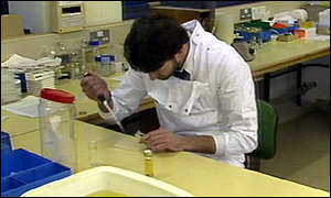 Laboratory work